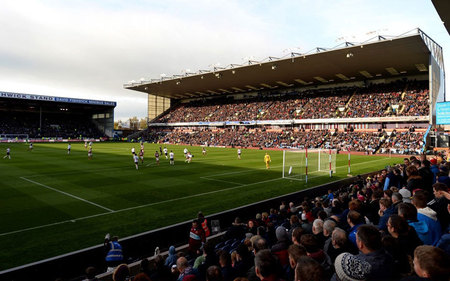 还收获了真 还收获了真