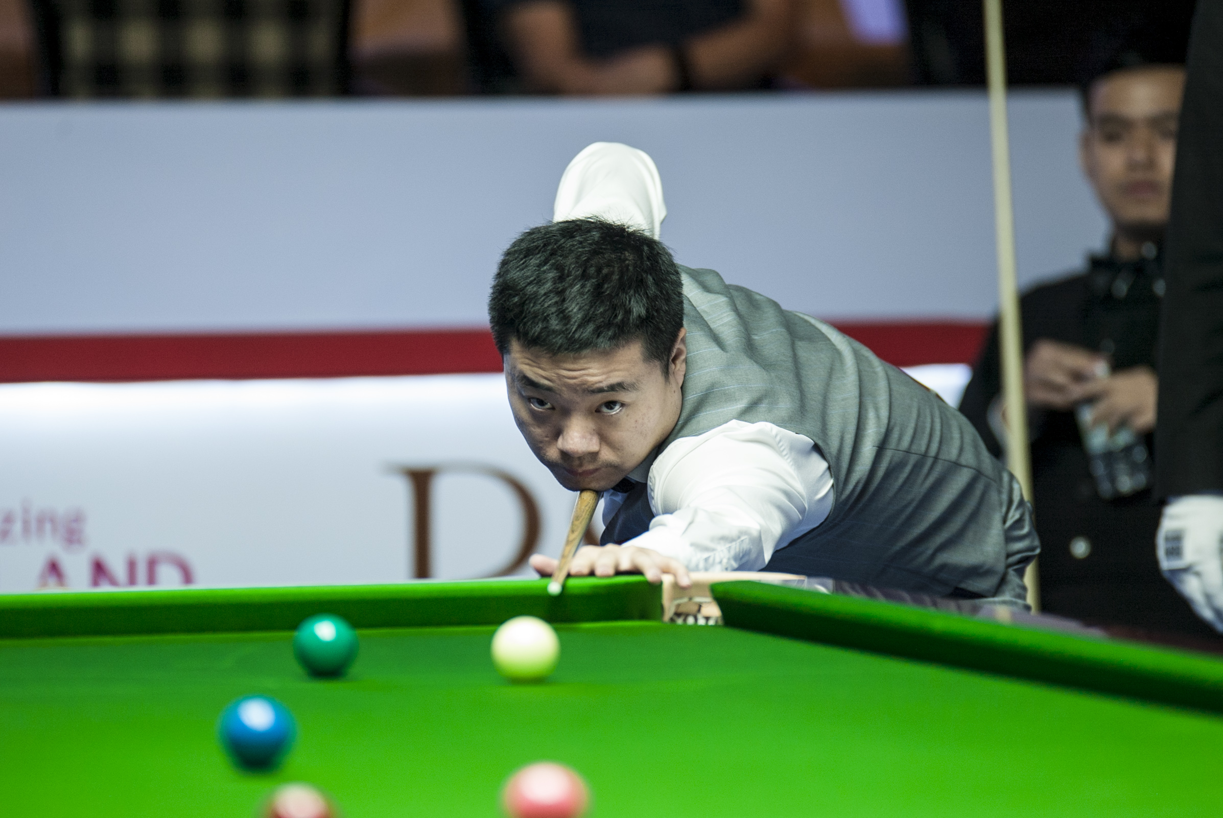 了两条截然 了两条截然